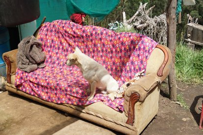 En este mueble encontraron a los pequeños sin vida.