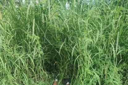 El hombre fue baleado con un fusil.