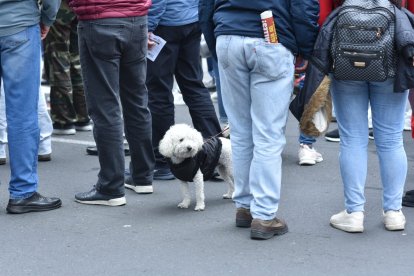 Varios animalitos fueron vistos en la protesta.