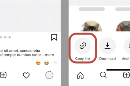 Copia el enlace del video de Instagram.