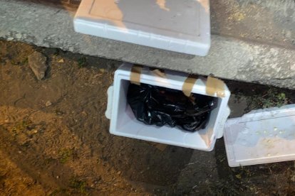 El  27 y 28 de junio pasado, en hieleras fueron encontrados restos humanos.