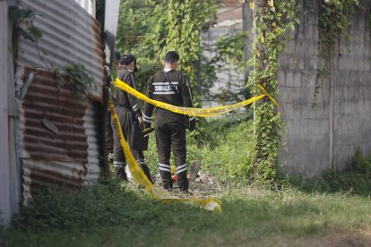 El hallazgo ha generado temor en el sector