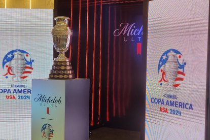 La Copa América finalizará el próximo 14 de julio.