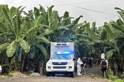 Los agentes rastrearon la zona donde dejaron las piezas humanas.