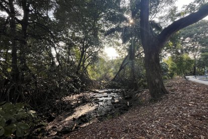 El estado en el que se encuentra el estero es perjudicial para la salud.