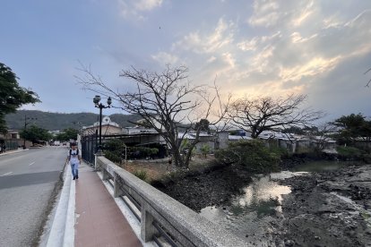 Muchas urbanizaciones se han levantado sobre el manglar, impidiendo su flujo de agua.
