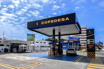 Álvarez es accionista en Copedesa