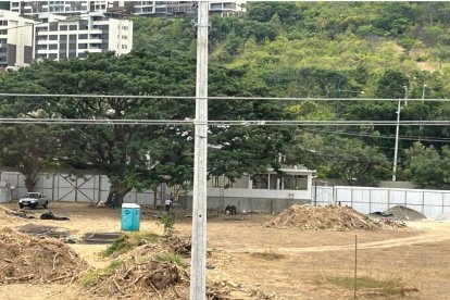 Moradores piden no cortar este árbol de más de 90 años que se encuentra dónde se realizara el proyecto Blue Town.