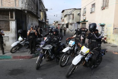Efectivos policiales hallaron hasta animales exóticos en una de las viviendas.