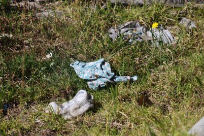 En la zona se encuentran indicios de posibles robos, en diferentes senderos.