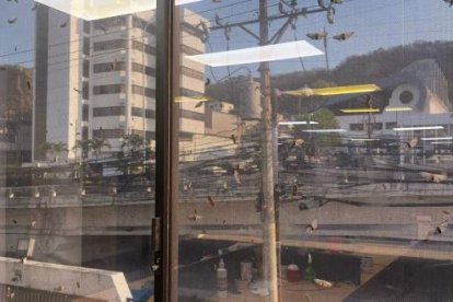 En las ventanas de los edificios las polillas están poniendo huevos.