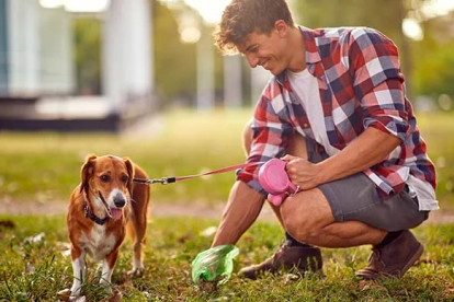Las heces de los perros también pueden dar información sobre la salud general de tu mascota.