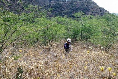 Un agente de control metropolitano recorre la zona cerca de donde fue la desaparición.