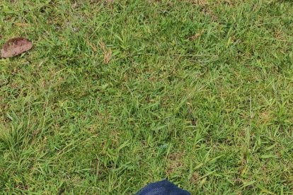 La cabeza fue encontrada dentro de esta funda de tela.