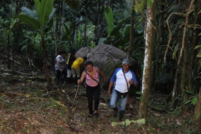 Los visitantes pueden explorar senderos naturales.