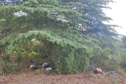 Los cadáveres no tenían heridas de bala. Los sujetos estaban maniatados.