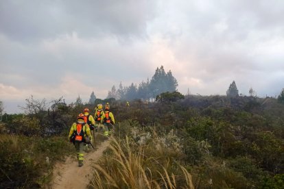 Algunos sembríos quedaron reducidos a nada por el daño del fuego.