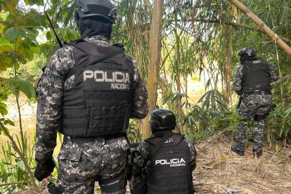 La Policía intervino en Puerto Limón.