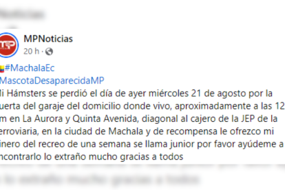 El mensaje que Elena escribió en redes sociales.