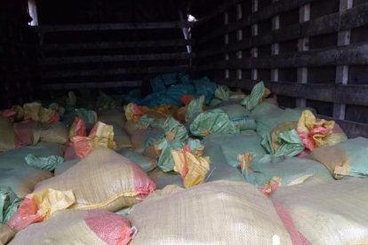 En total se hallaron 516 sacos con material aurífero.