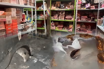 Estos fueron los locales clausurados esta semana en Ecuador por Arcsa.