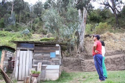 Con permiso municipal, Tipantuña cortó dos árboles de eucalipto por el riesgo sobre su casa.