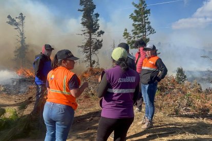 Bomberos trabajan contra los incendios forestales de Azuay.
