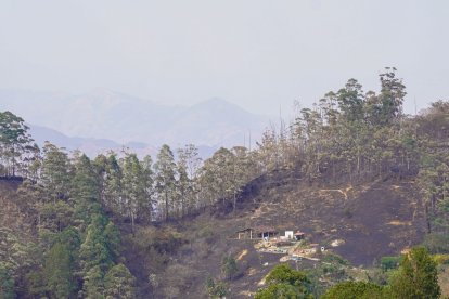 Dura batalla contra incendio forestal en Quilanga.