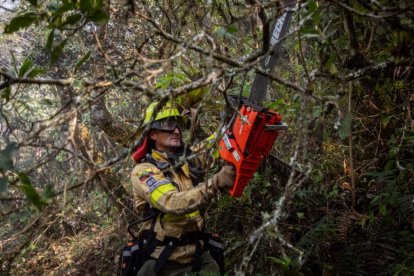 Los bomberos trabajan en primera línea para el control del incendio forestal.