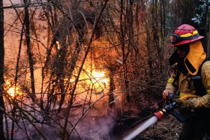 Los bomberos combaten el fuego.