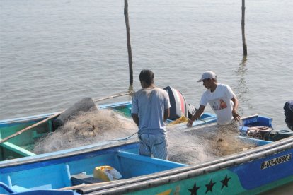 Según las cifras, el 75% de los casos no se denuncia.