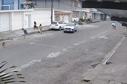 El secuestro fue registrado por una cámara de seguridad del sector.