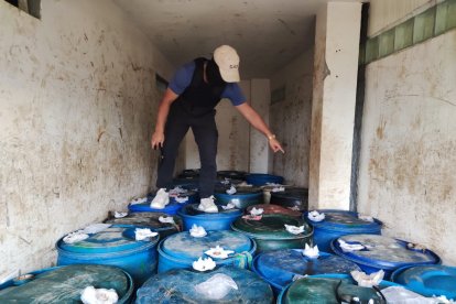 Gran cantidad de combustible decomisado en Esmeraldas.