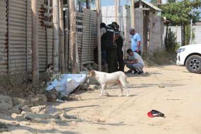 La víctima habría intentado escapar de sus agresores.