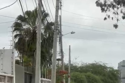 Tres jóvenes serán sancionados por estos hechos violentos.