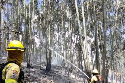 El Cuerpo de Bomberos de Quito sofocó un incendio en la vía a Nono