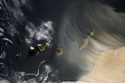 El fenómeno ha inquietado a la comunidad científica.