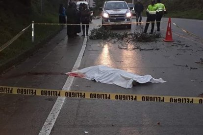 La joven estaba en la vía a Conocoto, en el sur de Quito.
