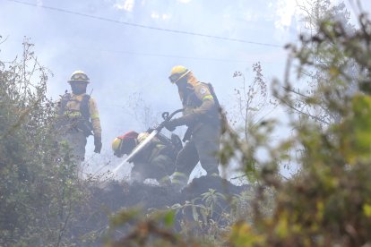 Los bomberos se desplazaron dentro del bosque en El Panecillo para sofocar las llamas.