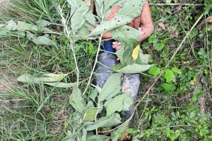 Un hombre, de 22 años, es la nueva víctima en Esmeraldas.