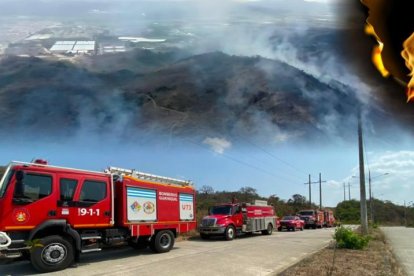 El Puerto Principal registra varios incendios forestales en las últimas semanas.