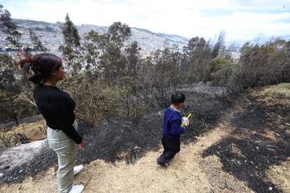 Erika y su hijo no pudieron dormir porque temían que algún pirómano vuelva a prender fuego.