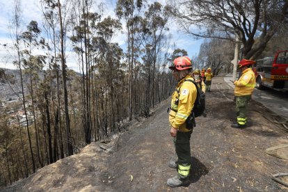 El fuego estuvo a punto de consumir viviendas en El Panecillo. Los bomberos lograron aplacar el fuego.