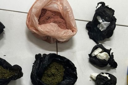 Entre las evidencias constan sustancias sujetas a fiscalización.