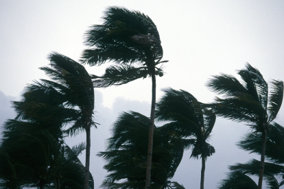 Un tifón azotó Japón, el 21 de septiembre de 1934.