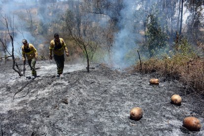 Los incendios también se han registrado en laderas en las que dejan basura.
