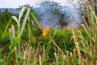 Varios incendios se han registrado en Esmeraldas.