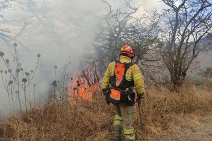Los Bomberos de la localidad lucha por apagar el fuego.