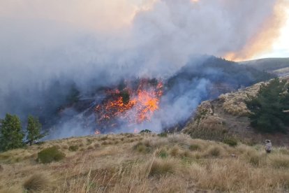 Miles de hectáreas de páramo fueron afectadas por las llamas.