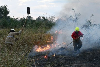 Los incendios forestales han consumido miles de hectáreas en Ecuador.